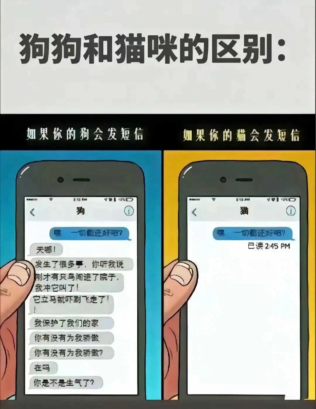 西檬之家女王在字母圈中的权力特质解析 一