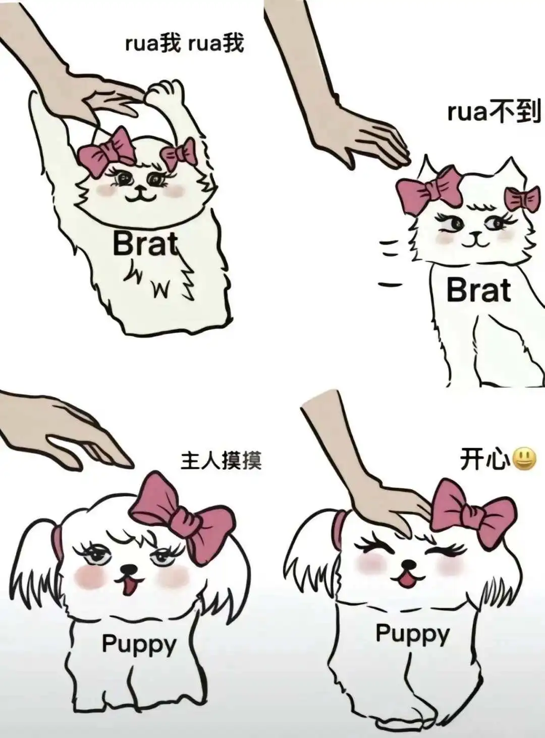 西檬之家m倾向是什么? 一
