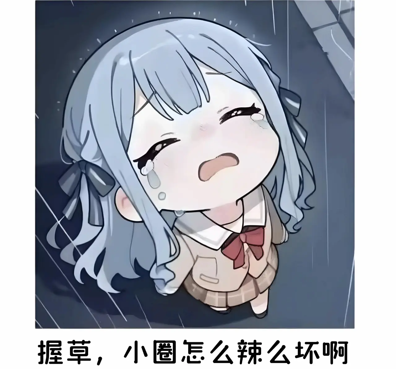 西檬之家字母圈入圈新手避坑指南 一