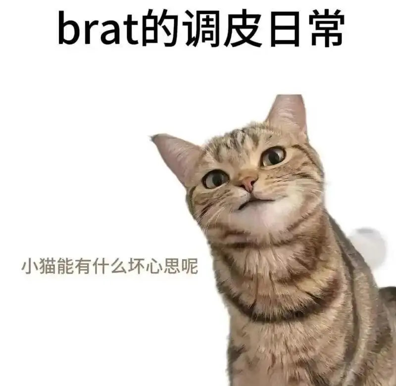 西檬之家字母圈入圈指南:新手必读 一