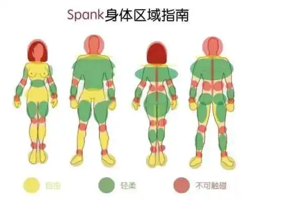 西檬之家字母圈s属性解析 一