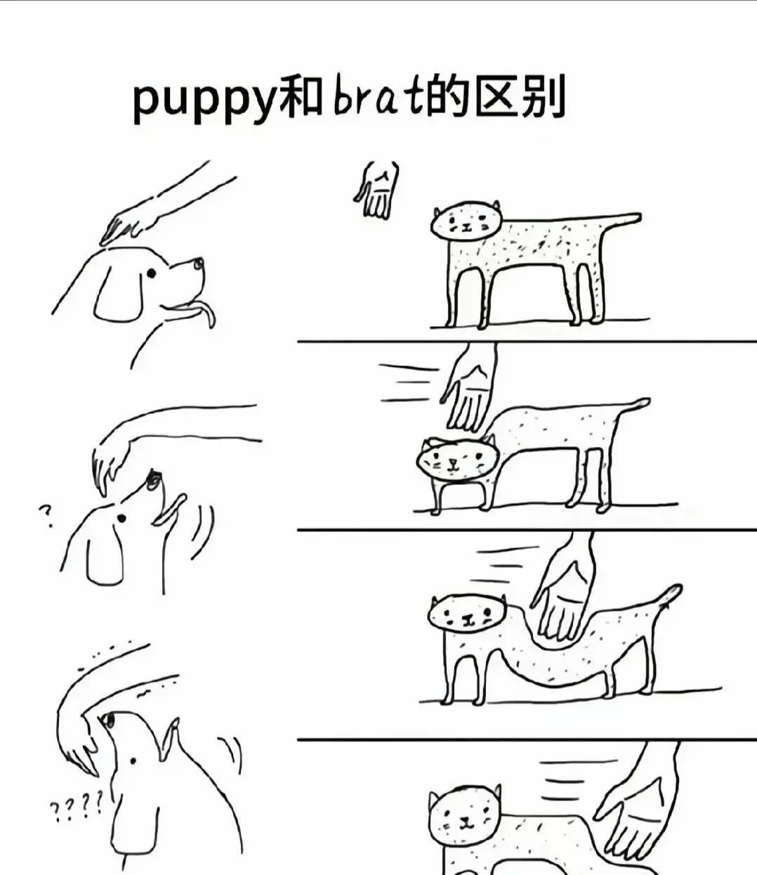 西檬之家字母圈女王是什么?新手必看 一