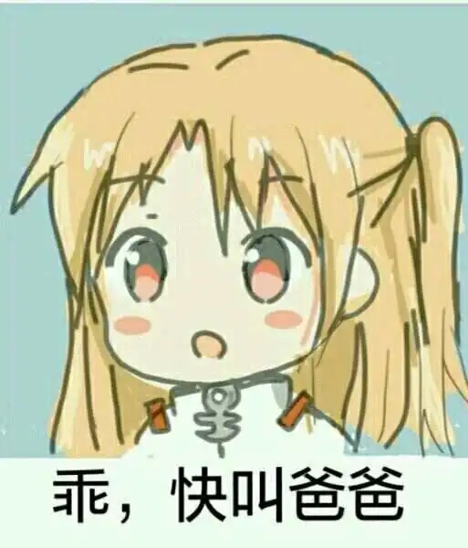 西檬之家k9犬系入门指南 一