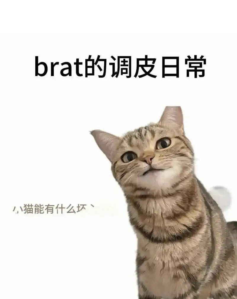 西檬之家字母圈BDSM入门指南 一