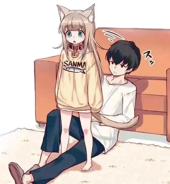 西檬之家k8猫系是什么?你的属性属于哪一类? 一