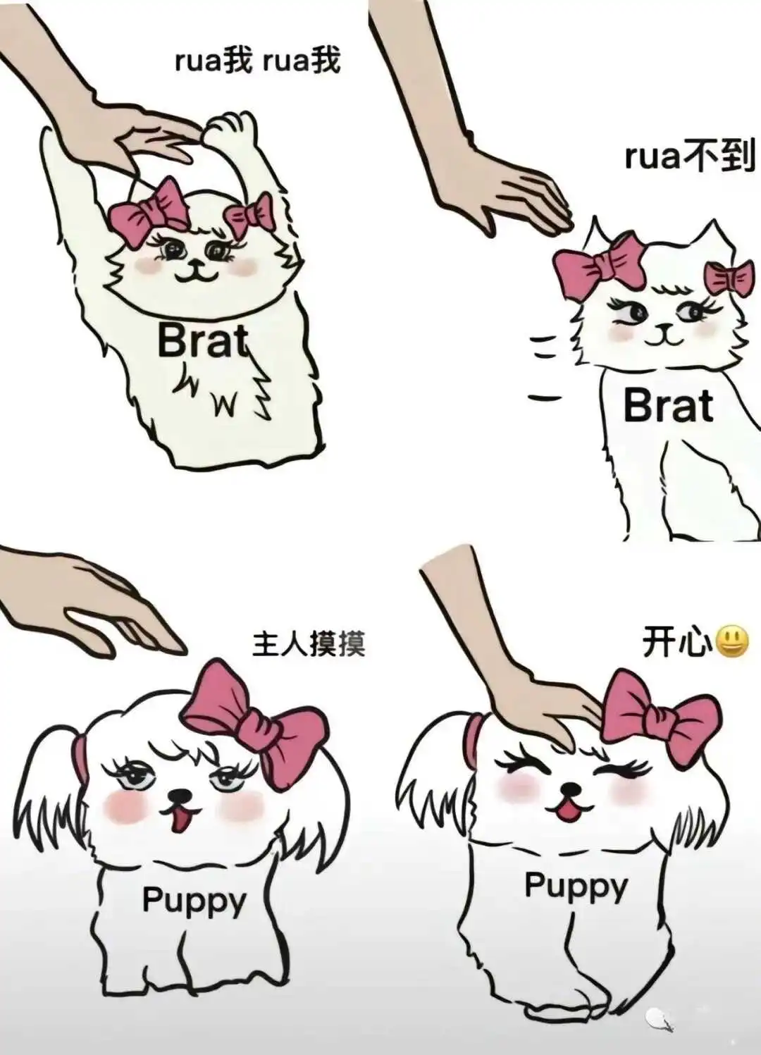 西檬之家s倾向是什么?你的字母圈属性是什么 一