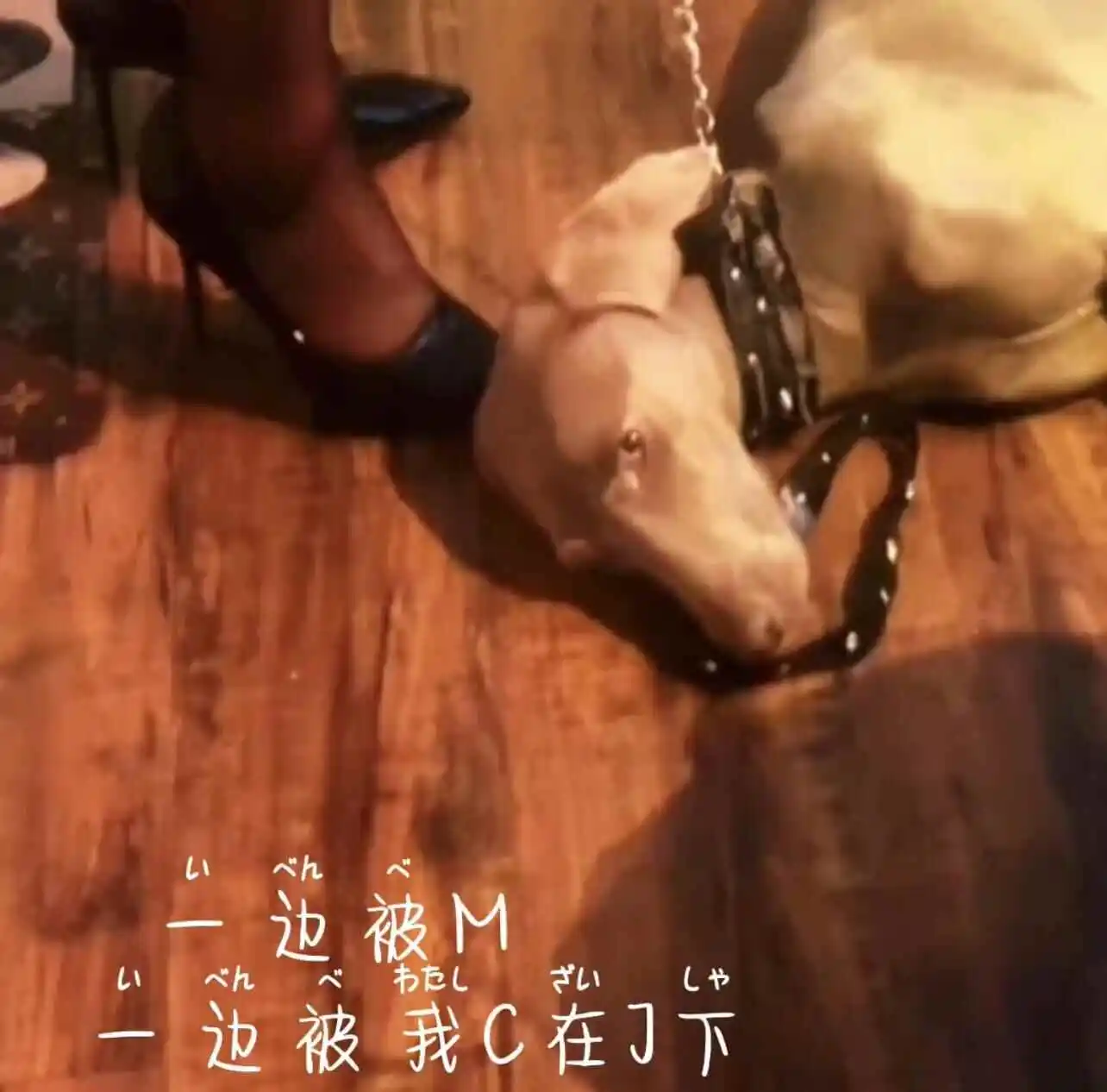 西檬之家字母圈的Aftercare指南 一