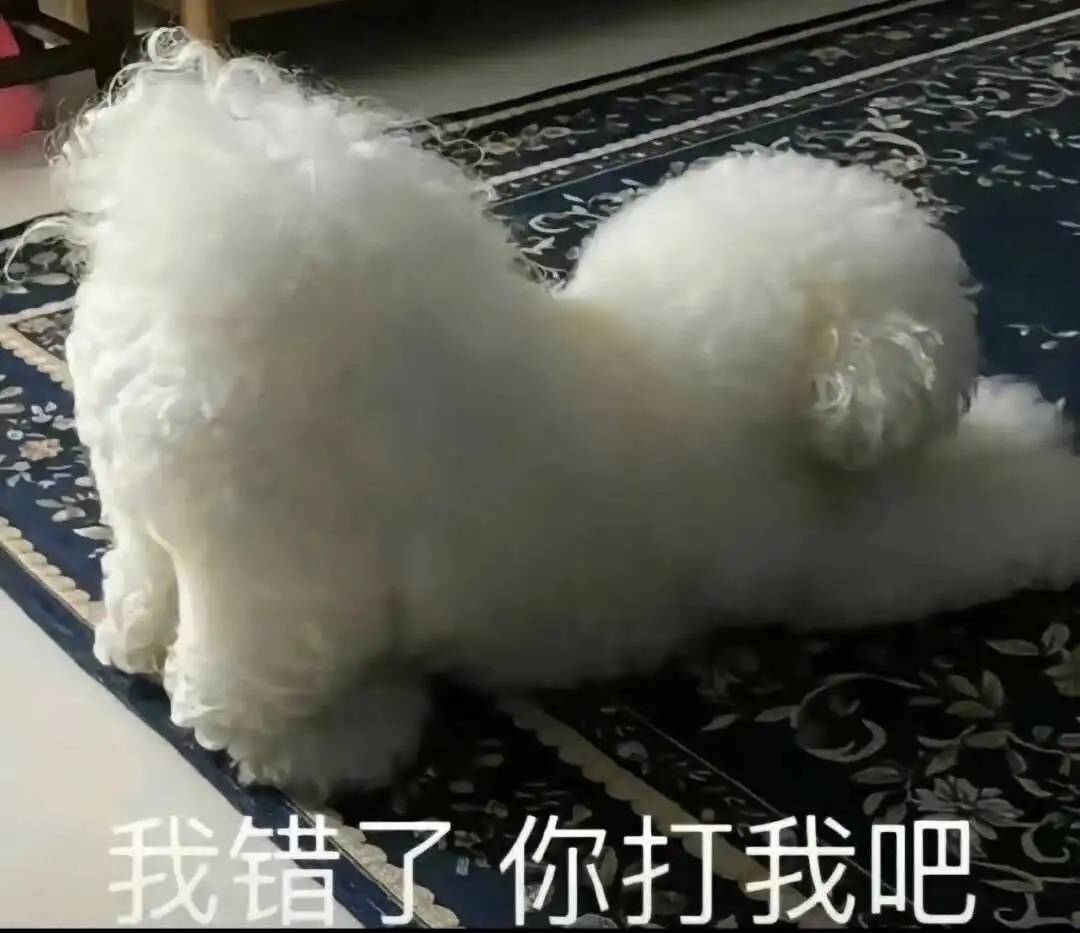西檬之家k9是什么?你的角色属性是什么? 一